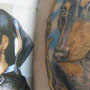 Dewayne Dachshund